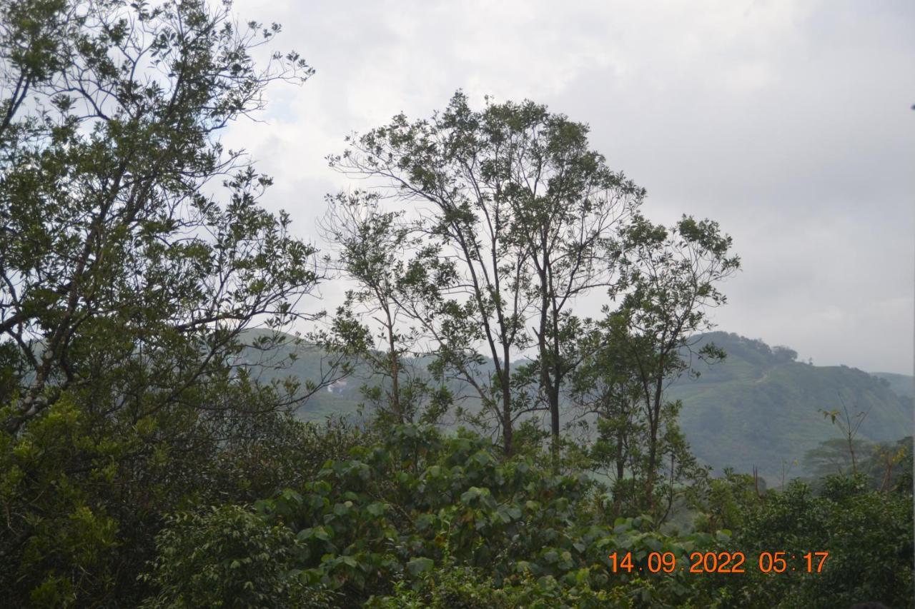 Sharon Valley Vagamon Eksteriør billede